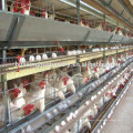 China made durable poultry layer farming equipment